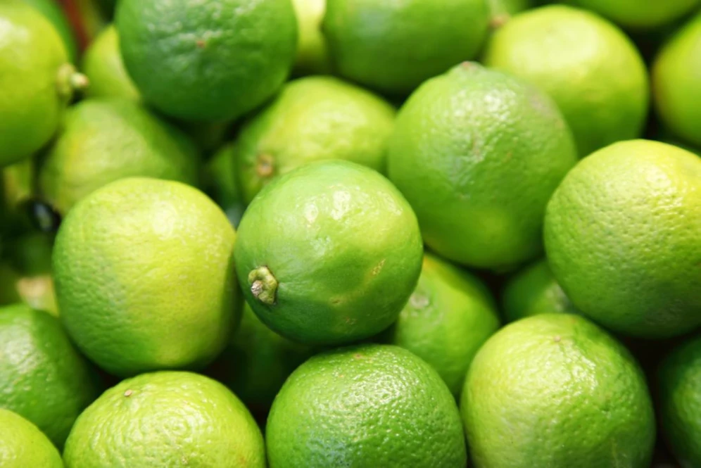 Nimbu Ka Photo, Image & Pics 4 lemons